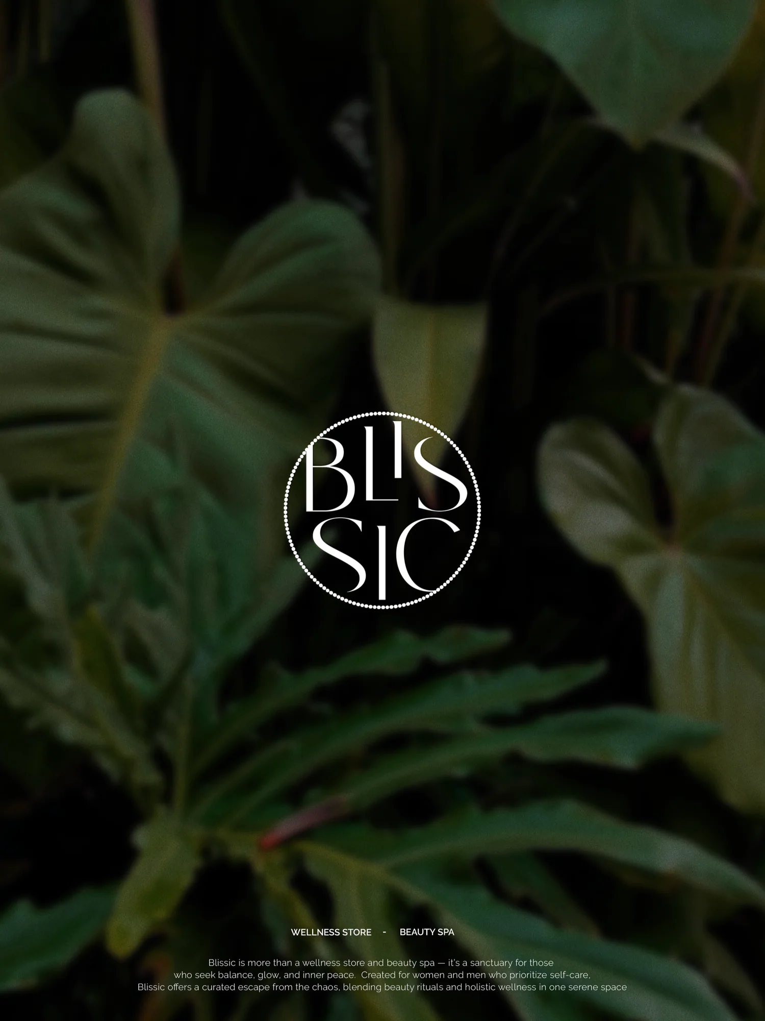 Blissic Wellness Brand Identity 006