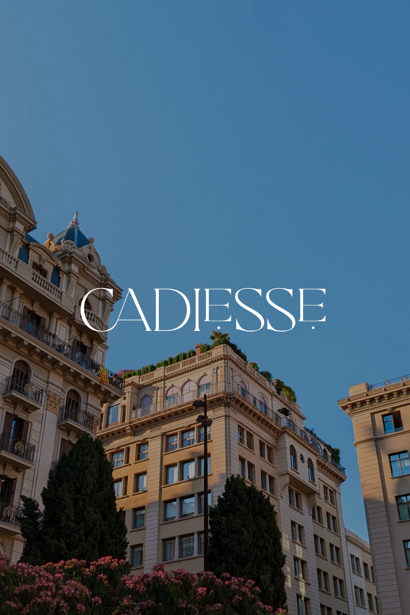 Cadiesse Box & Identity
